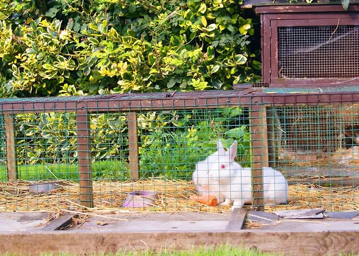 In The Heart Of Kerry Apartment *